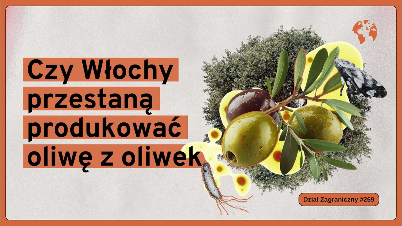 Czy Włochy przestaną produkować oliwę z oliwek (Dział Zagraniczny Podcast#269)