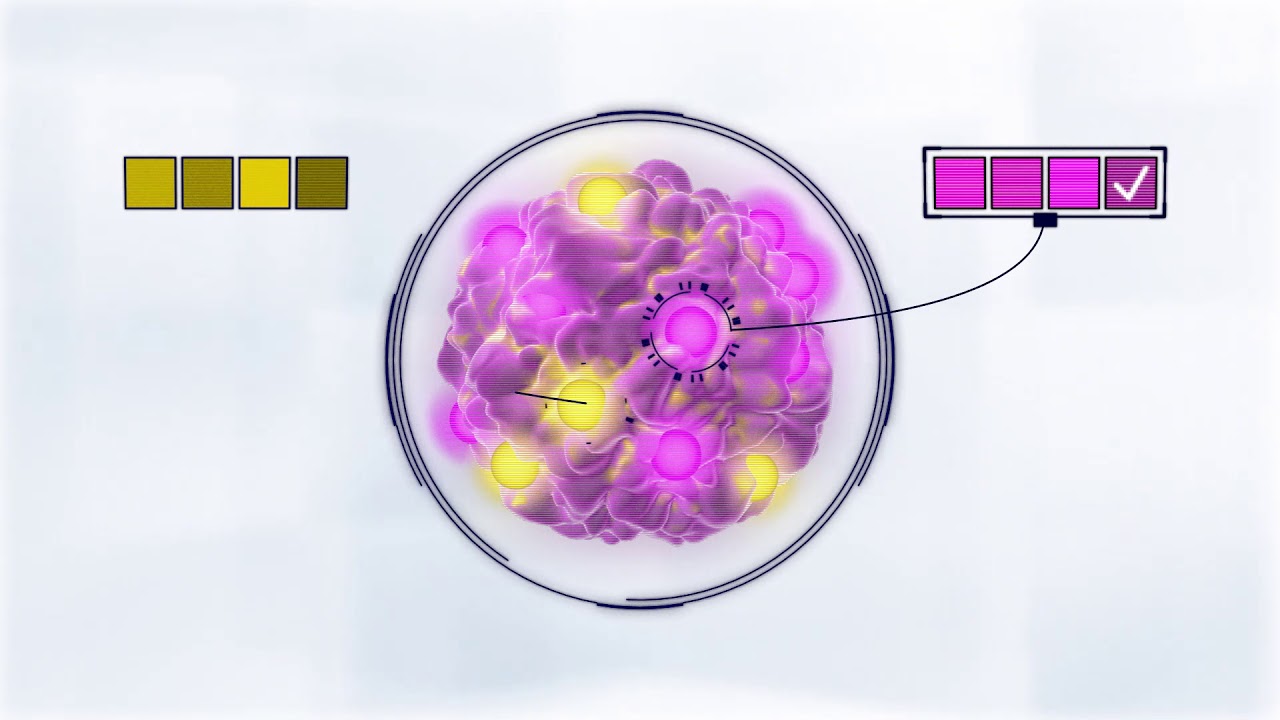 Inovio - Immuno-Oncology