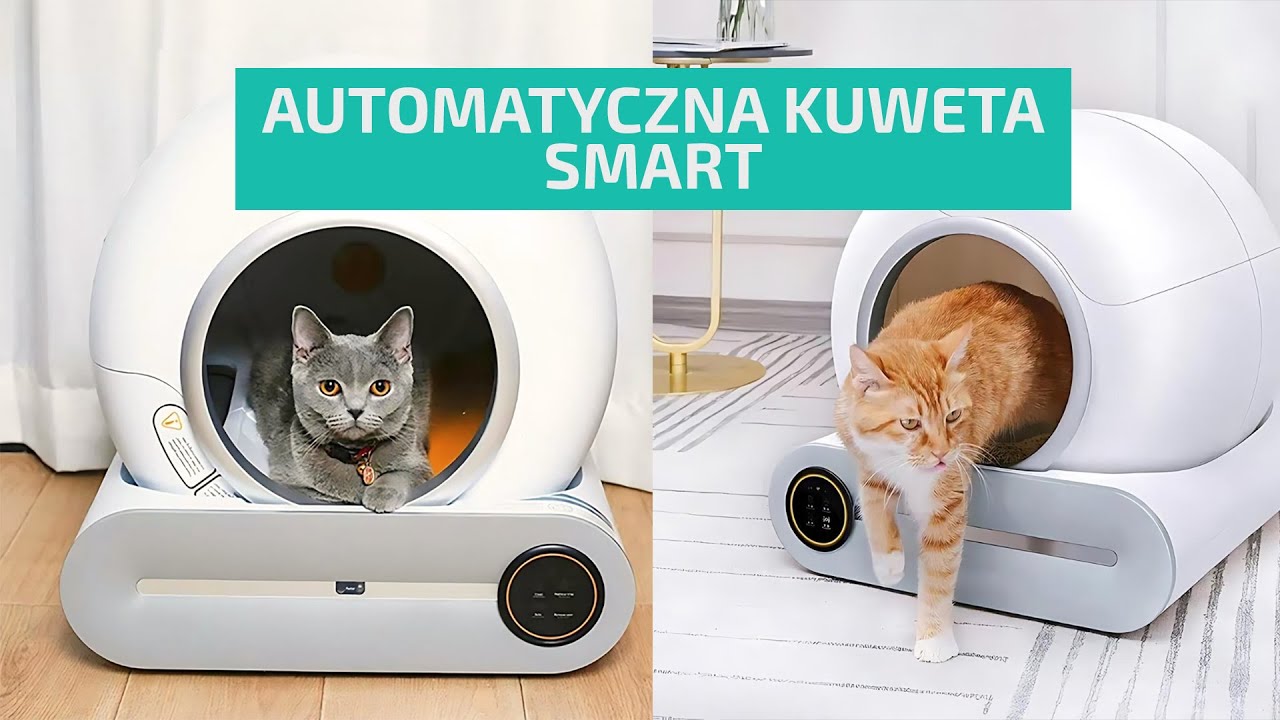 Automatyczna kuweta dla kota | sklep ZOLTA