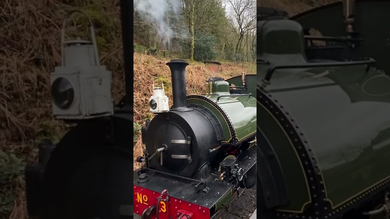 &ldquo;Sir Haydn&rdquo; at Brynglas