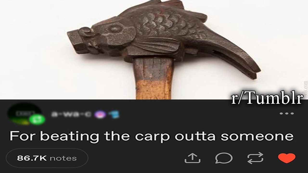 Tumblr делает то, что у него получается лучше всего.
