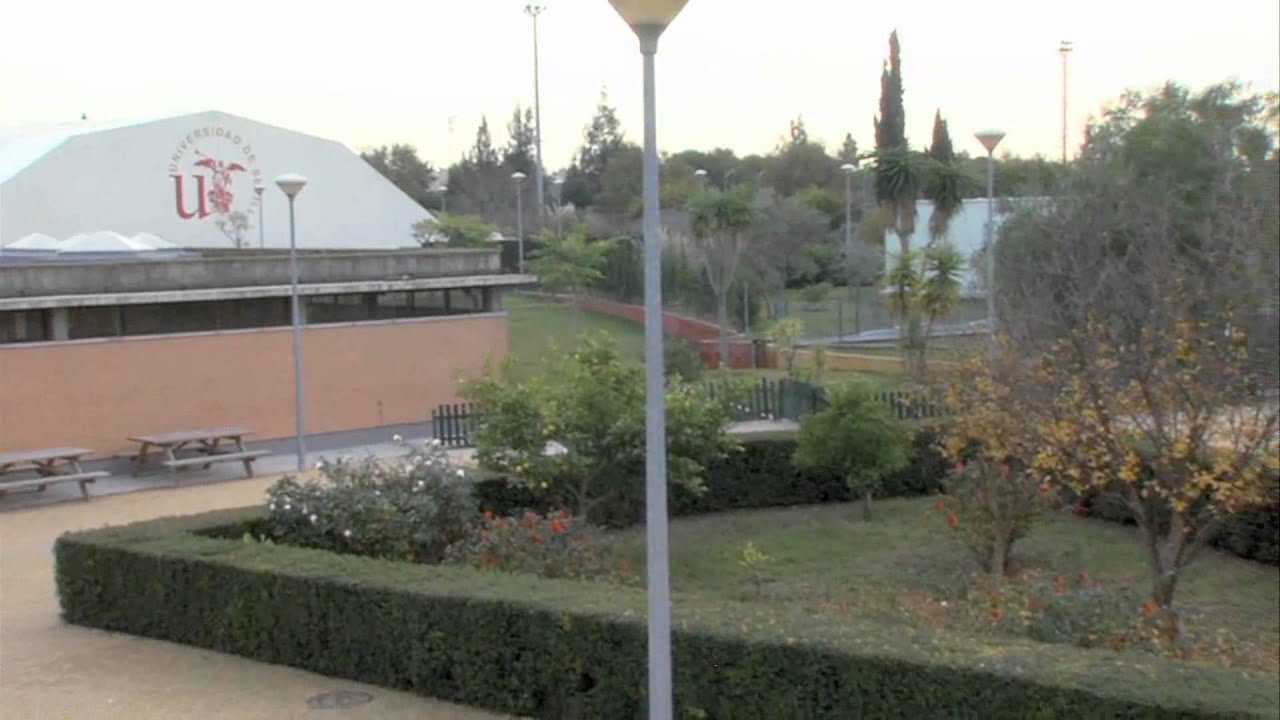 Un Día en la Universidad de Sevilla