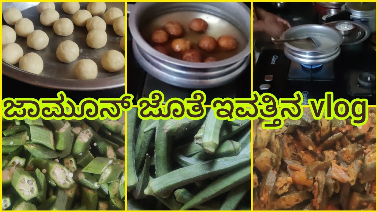 ಇವತ್ತಿನ vlog ಅಲ್ಲಿ ಏನೆಲ್ಲಾ ವಿಶೇಷ ಇದೆ ನೋಡಿ