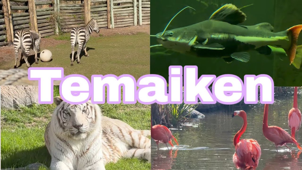  Temaiken 2025!