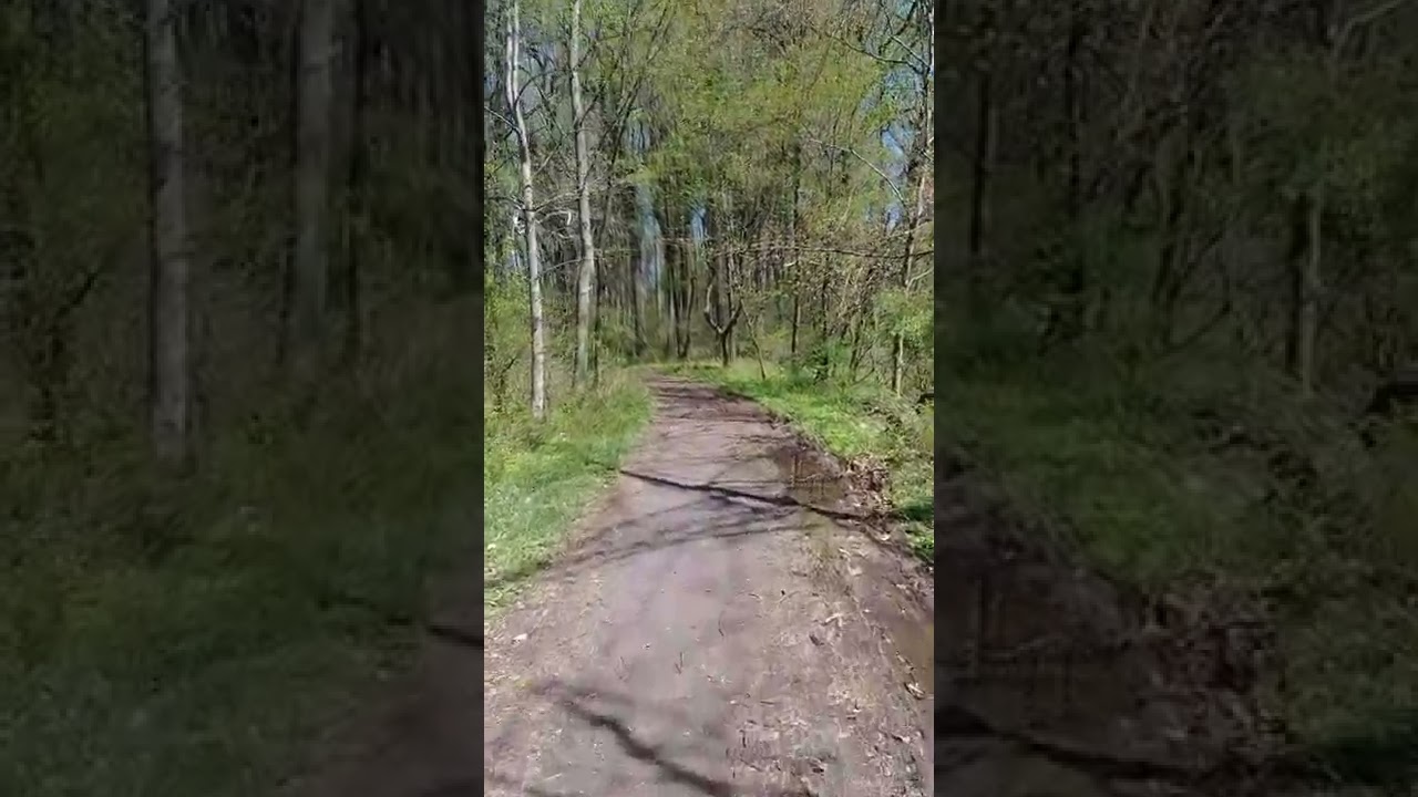 420 Hike Part 1
