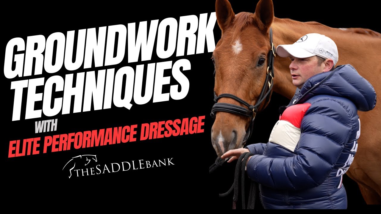 How to Build Trust with Your Horse | Groundwork Training & Confidence-Building Techniques with Keith
