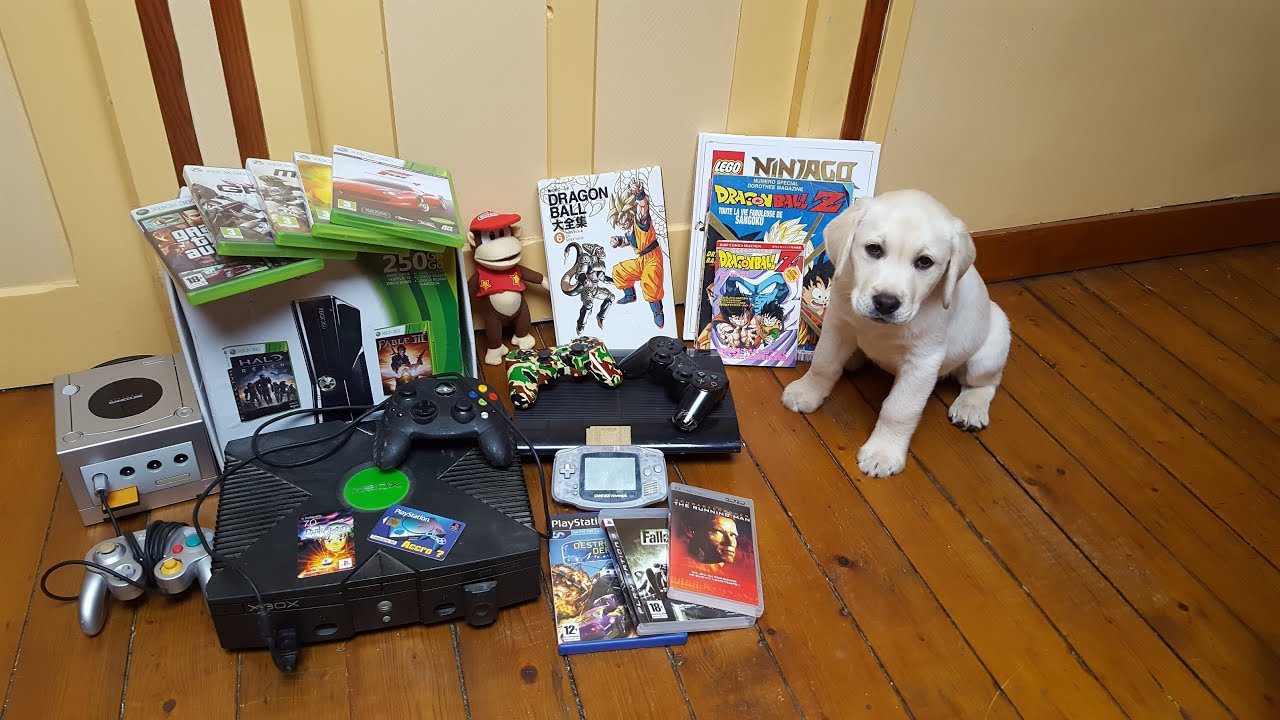 Mon premier Live vide grenier. De la console à gogo!!!