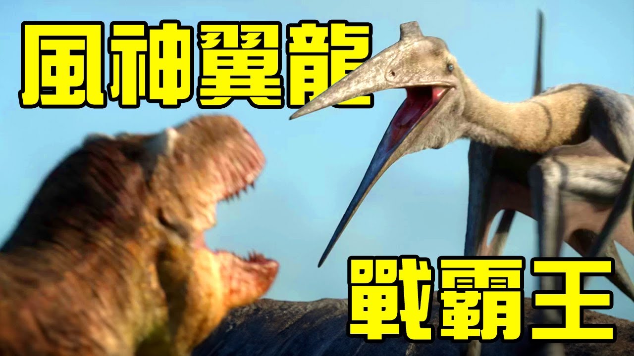 名場面！風神翼龍大戰霸王龍，霸王龍跑路了？三角龍和霸王龍的老冤家鬥爭為何頻頻上演丨史前星球第二季深度解析丨黑毛羊駝