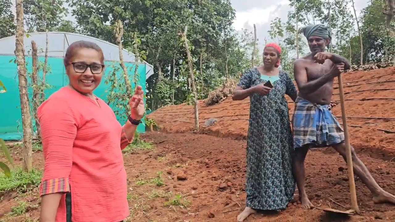 അങ്ങനെ അവിടെയും പോയി.  Bincy Farm