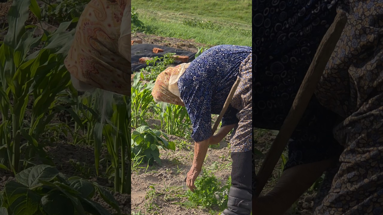 Hard work in the village!