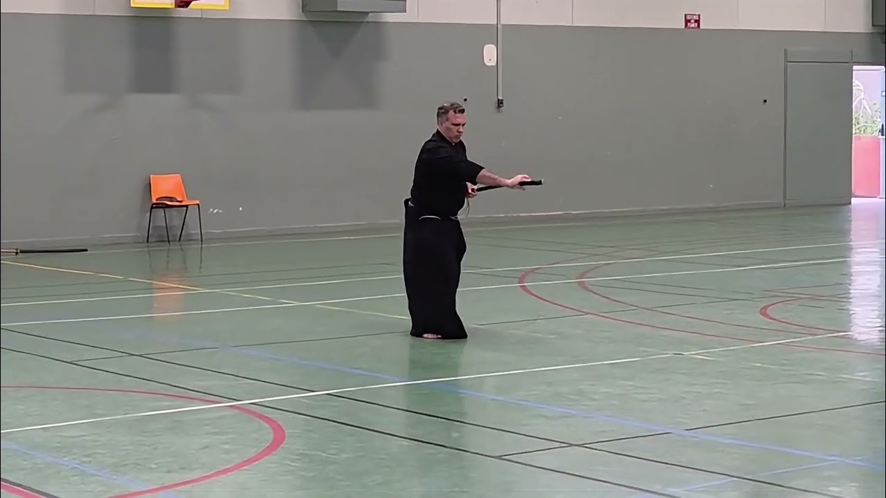 Frank Nieves - Ryushin Shouchi Ryu Demonstration - Lyon, France 2026