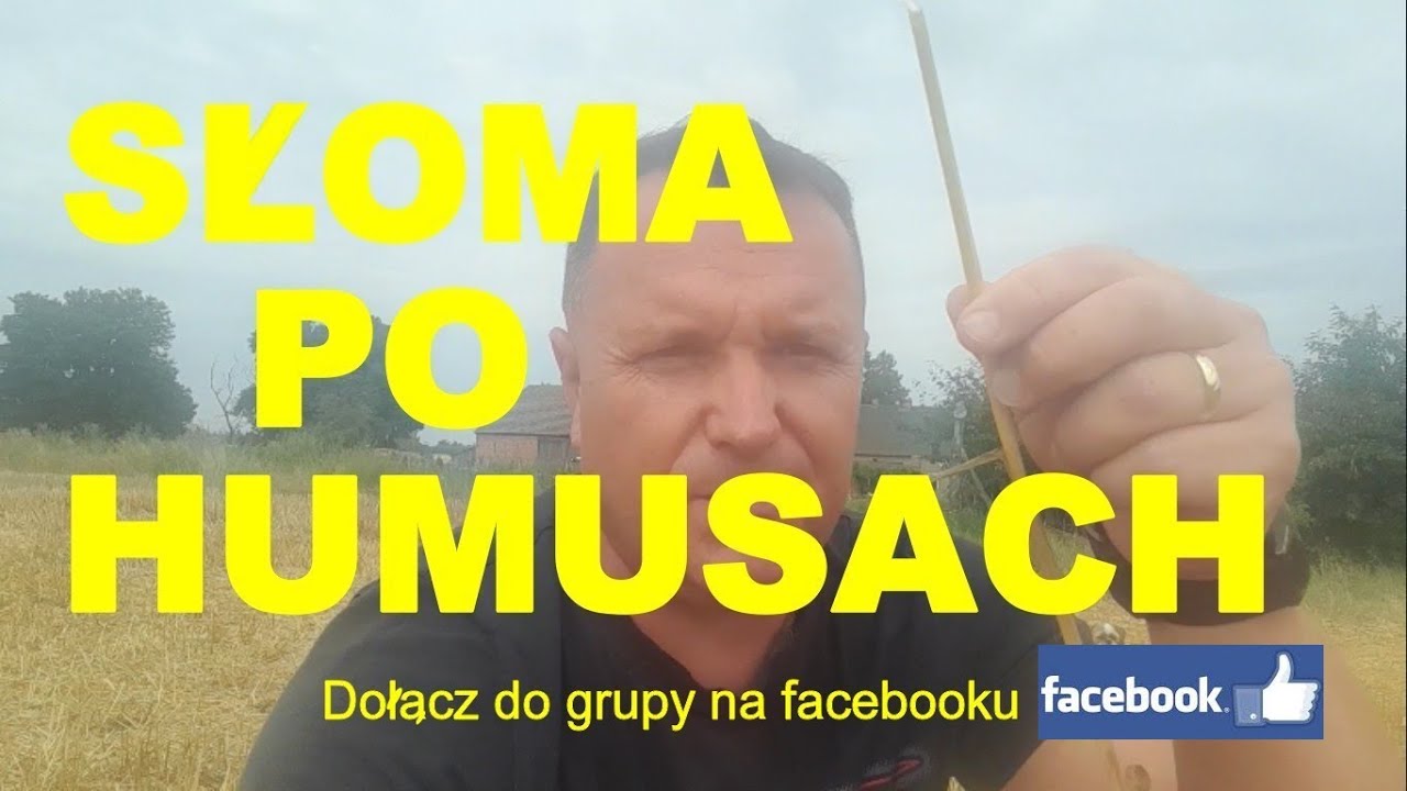Jak wygląda ściernisko i słoma po Humusach 