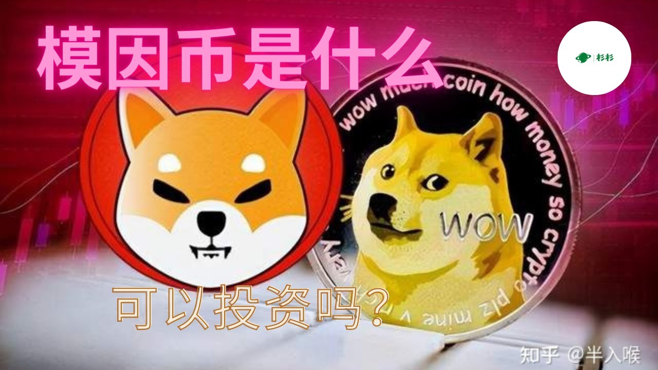 【何为模因币】模因币会是2023年里投资者的最佳选择吗？🔥