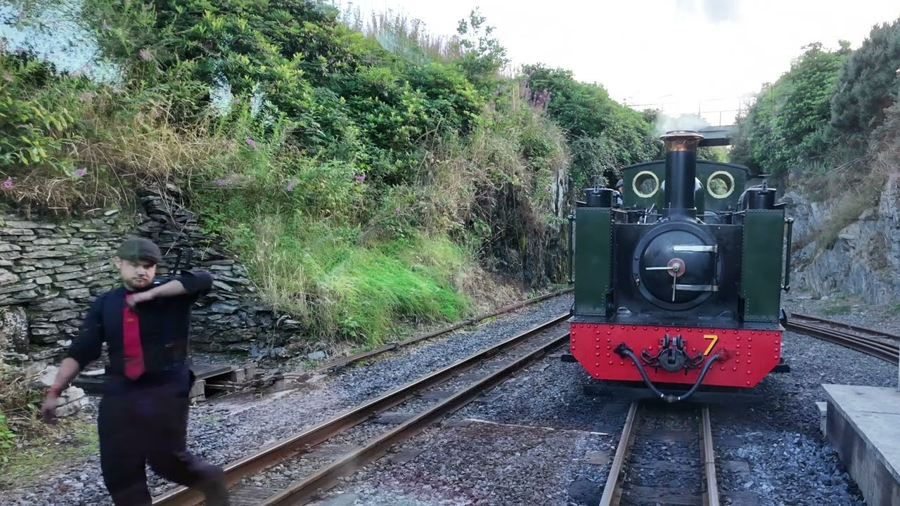Vale of Rheidol Evening Train - 14/08/2024