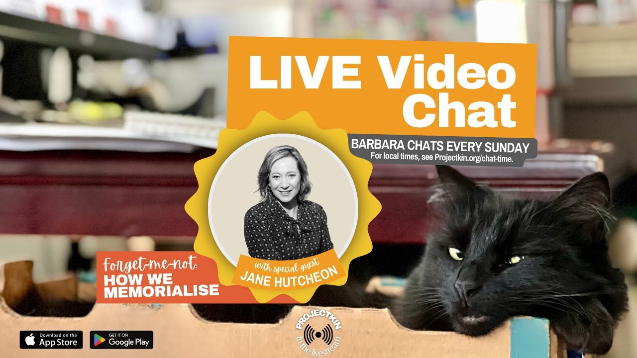 A Brief Chat in the Livestream with Jane Hutcheon