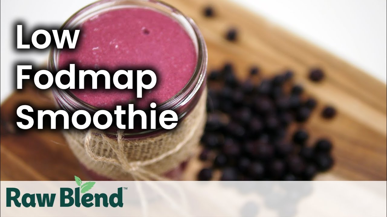 How to make a Low Fodmap Smoothie in a Vitamix Blender | Recipe Video