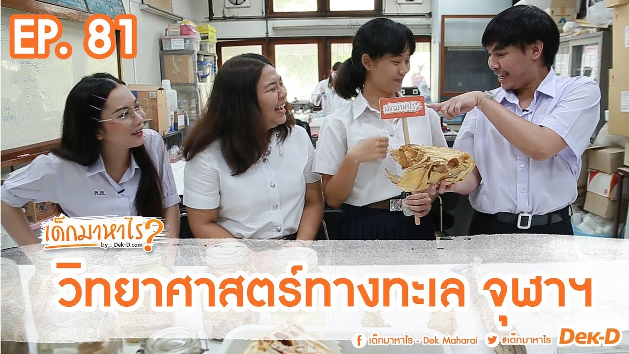 เด็กมาหาไร : EP 81 :  ถ้าว่ายน้ำไม่เป็นจะเรียนภาควิชานี้ได้มั้ยนะ ? [วิทยาศาสตร์ทะเล จุฬาฯ]