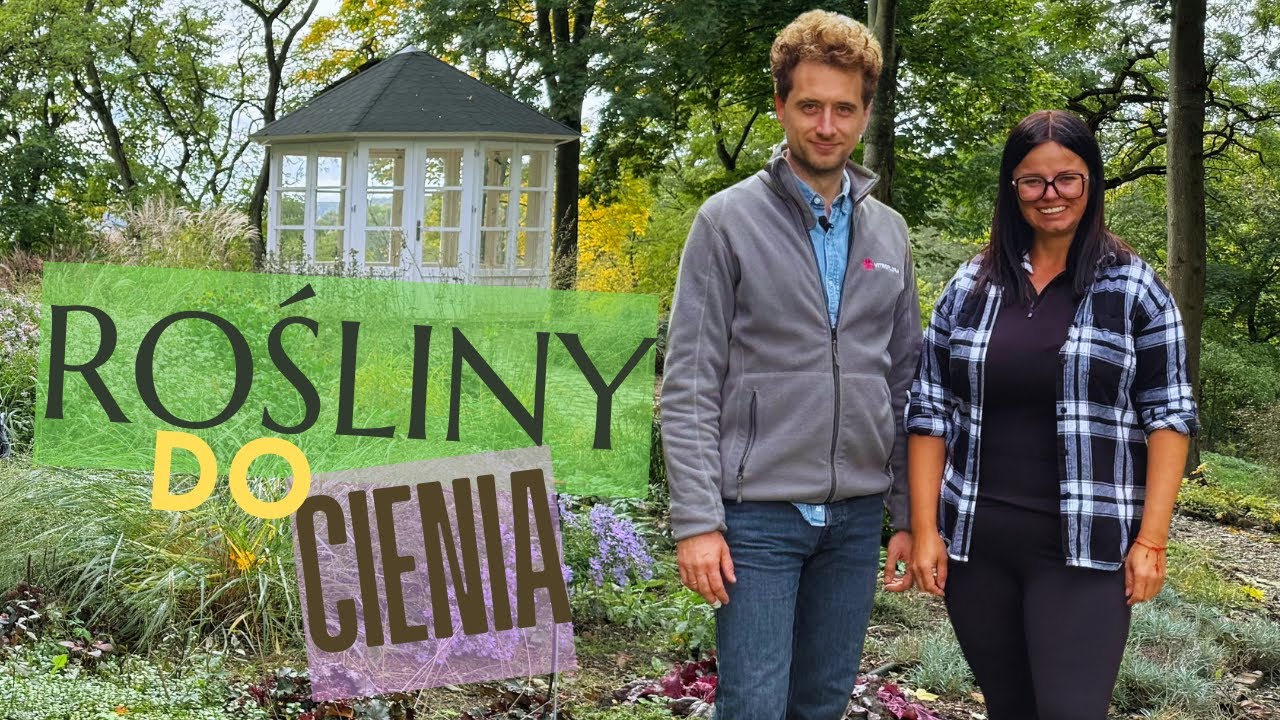 JAKIE ROŚLINY WYBRAĆ DO CIENIA | JAKIE ROŚLINY DOBRZE ROŚNĄ W CIENIU | Kasia in