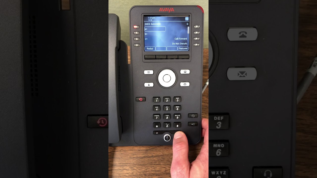 Ring volume, tones and screen settings J169 IP Office