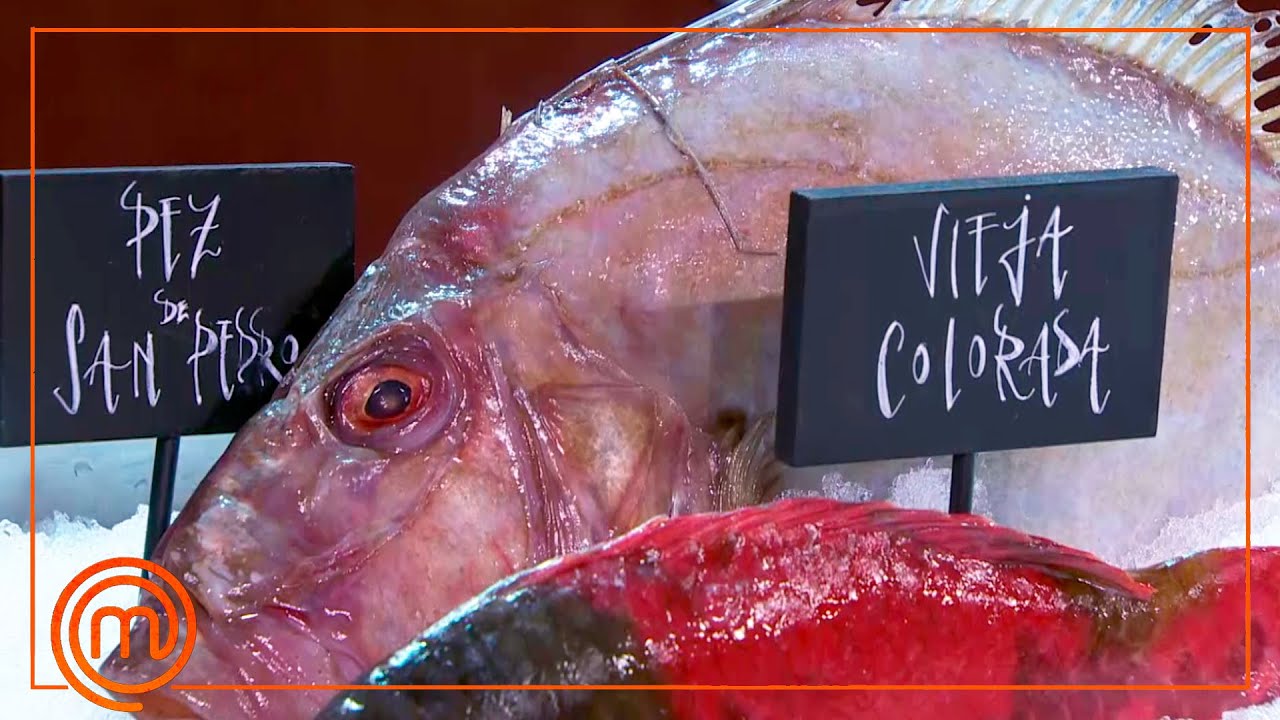LES PONEN A PRUEBA: ¿Cuantos pescados lograrán identificar? | MasterChef 12