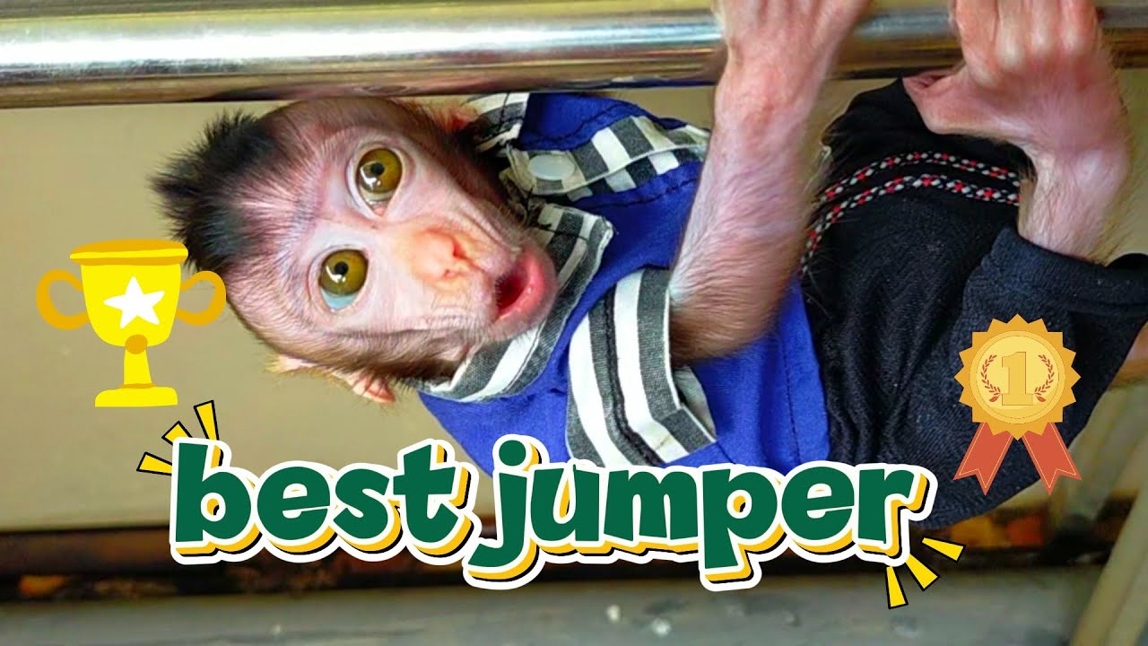 best jumper .#viral #trending #viralvideo #trendingvideo