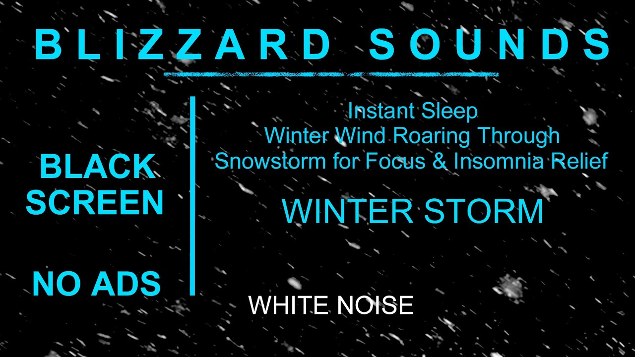 Instant Sleep ┇ Winter Wind Roaring Through Snowstorm for Focus & Insomnia Relief ┇ No Ads