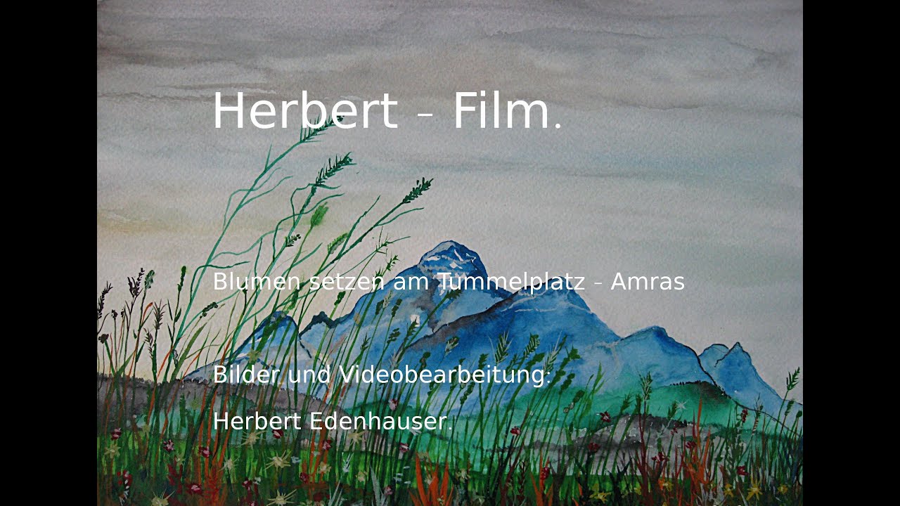 Tummelplatz Blumensetzen 2025 - Herbert Film.