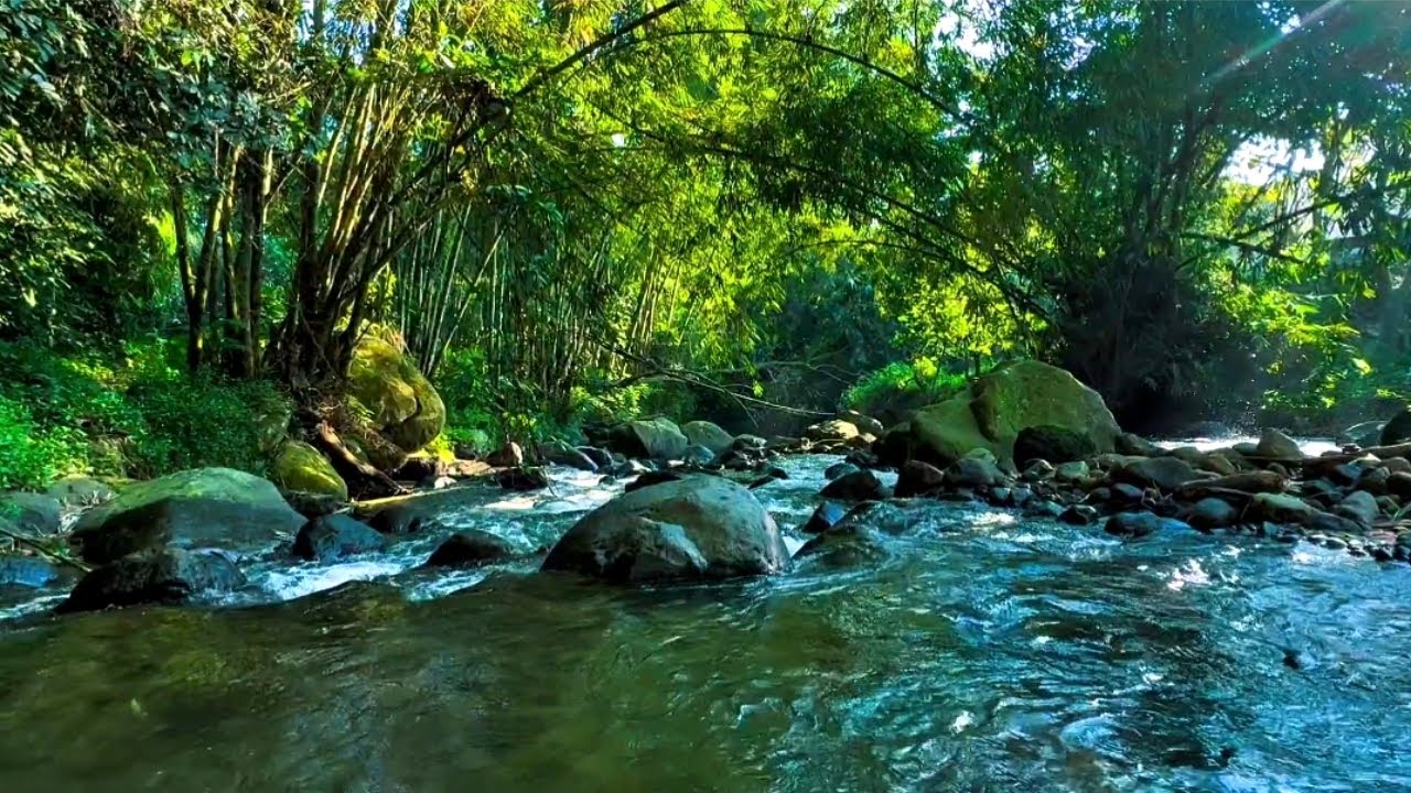 🔴 Crystal River Escape | Soothing Nature Sounds for Peaceful Moments