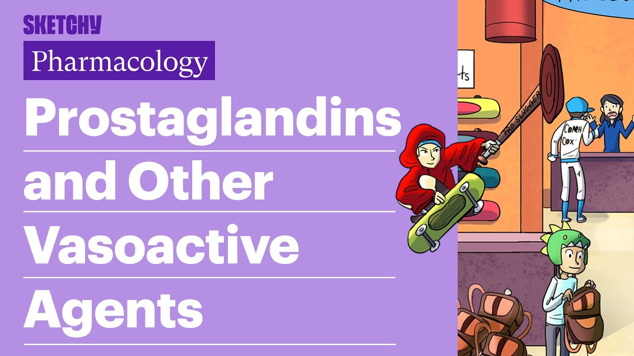 Prostaglandins and Other Vasoactive Agents (Pharmacology) | Sketchy