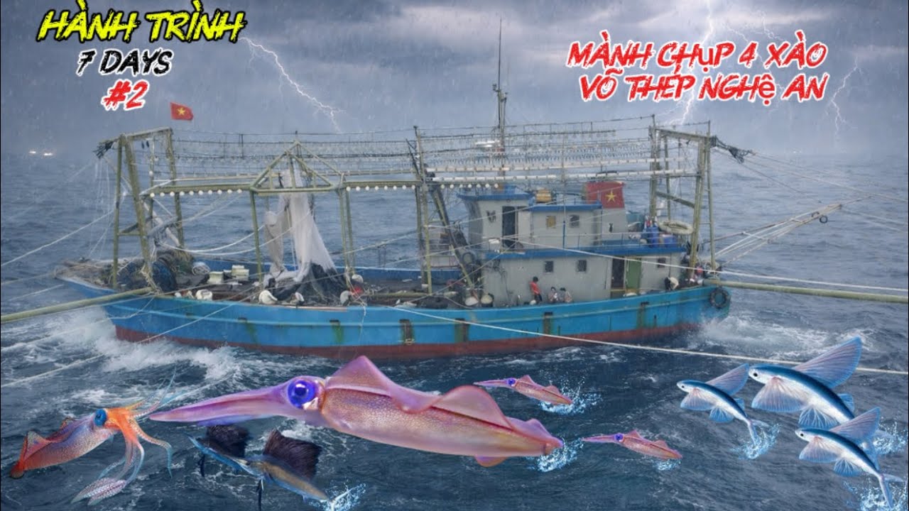 12h mành chụp 4 xào xuyên màn đêm | đánh bắt mực giá trị cao quý hiếm giữa mùa đông thu về hàg triệu