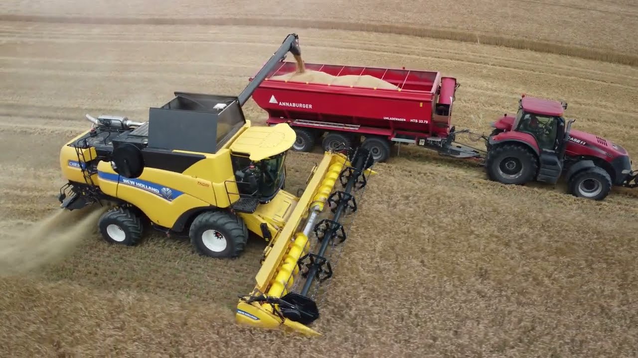 Žně 2024 | 2x New Holland CR 9.80 Twin Rotor a 1x New Holland CX 8.90 |  Sklizeň pšenice [4K]