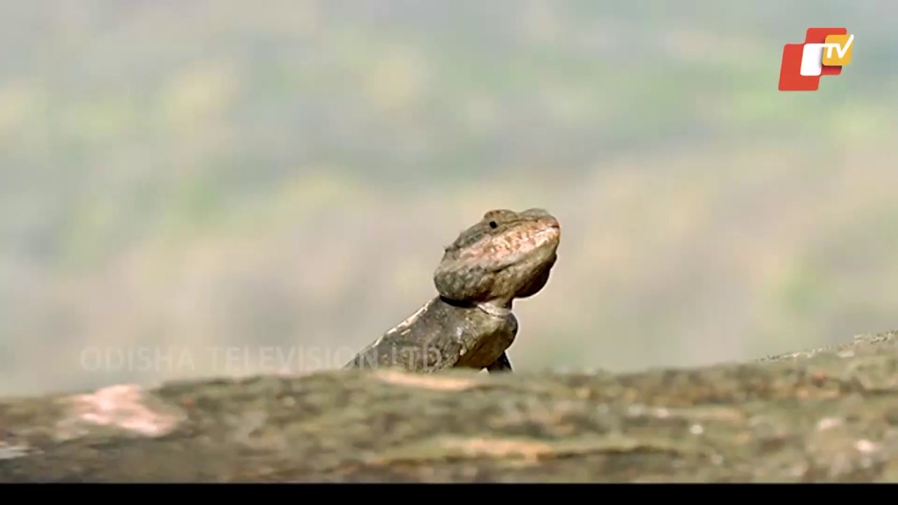 Story of Odisha Ep 141 11 Mar 2018 | Ratna Garbha | Places to Visit in Odisha - Odisha Tourism