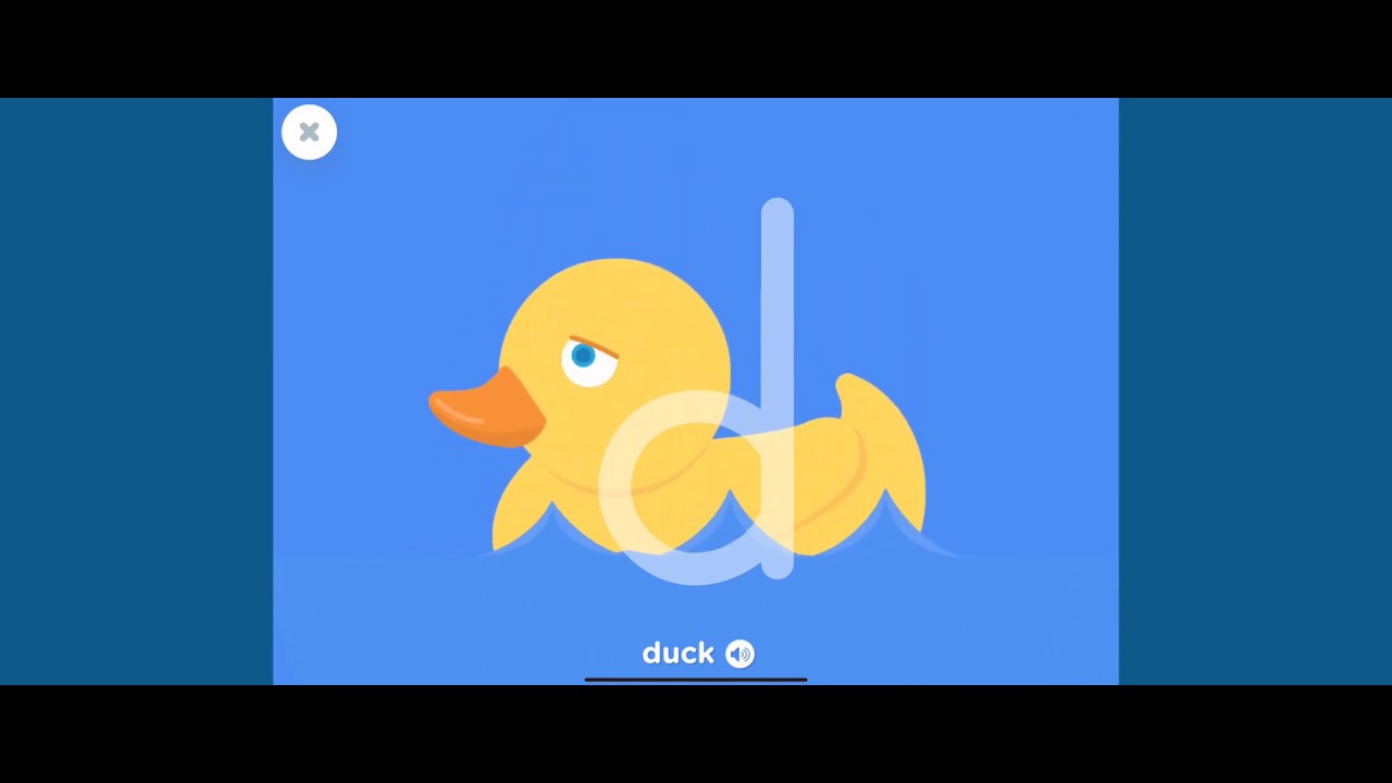 D - D Duck quack  quack  quack! Alphabet Kids Learning | Boopanpan Kids
