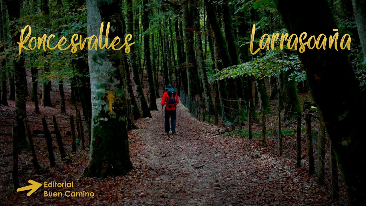 Chemin de Saint-Jacques de Compostelle entre Roncevaux et Larrasoa&ntilde;a