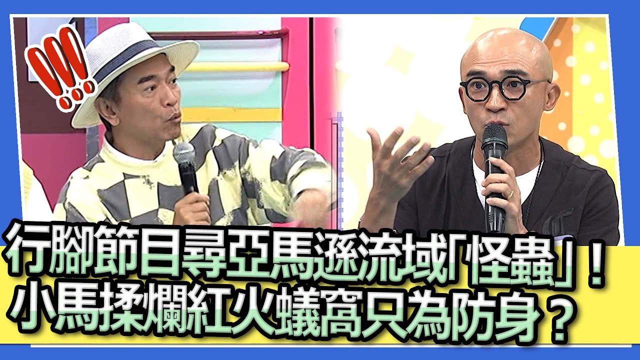 行腳節目尋亞馬遜流域「怪蟲」！ 小馬揉爛紅火蟻窩只為防身？｜2023.05.04 沈文程、倪子鈞、高山峰、夢多、李佳豫  @我愛小明星大跟班
