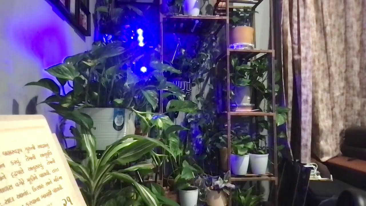 Post Dinner Fun