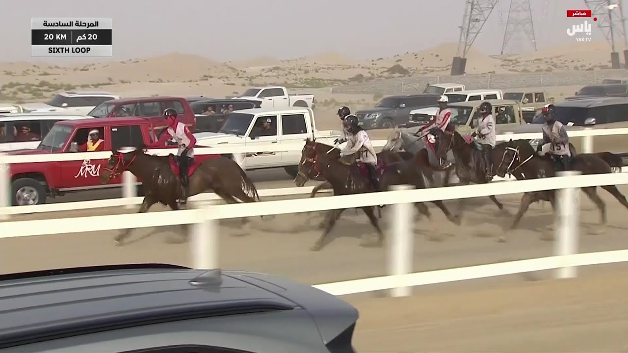 لحظات الحسم في سباق كأس صاحب السمو رئيس الدولة للقدرة 2025