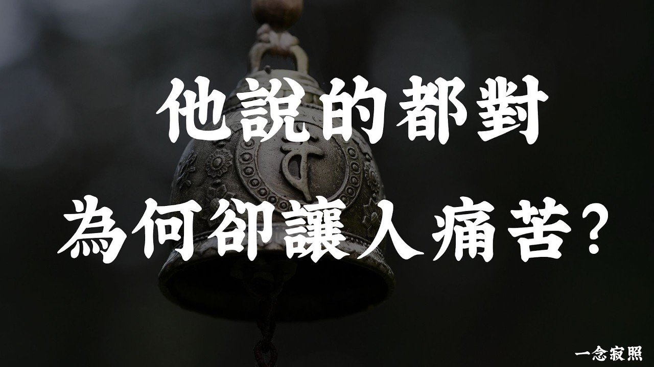 有些话，说出口就成了业｜佛說「口業」的驚人力量｜一念寂照 #佛學智慧#因果業力#生命意義#生育#佛教故事#心靈成長#放下執著#福報#修行#覺悟#業障#人生哲理#業力真相#覺醒#轉念