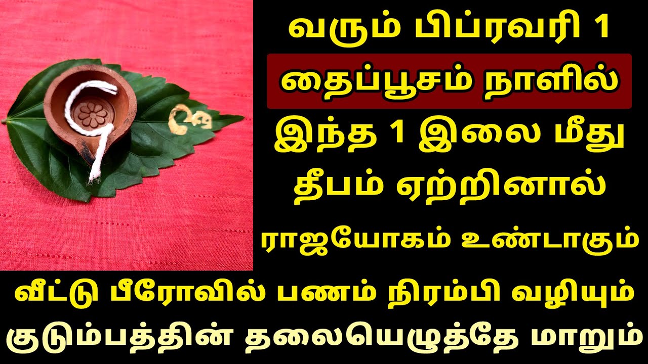 வரும் Feb-1 தைப்பூசம் இந்த இலை மேல் தீபம் ஏற்றுங்கள் யோகம் வரும்! Thaipusam 2026