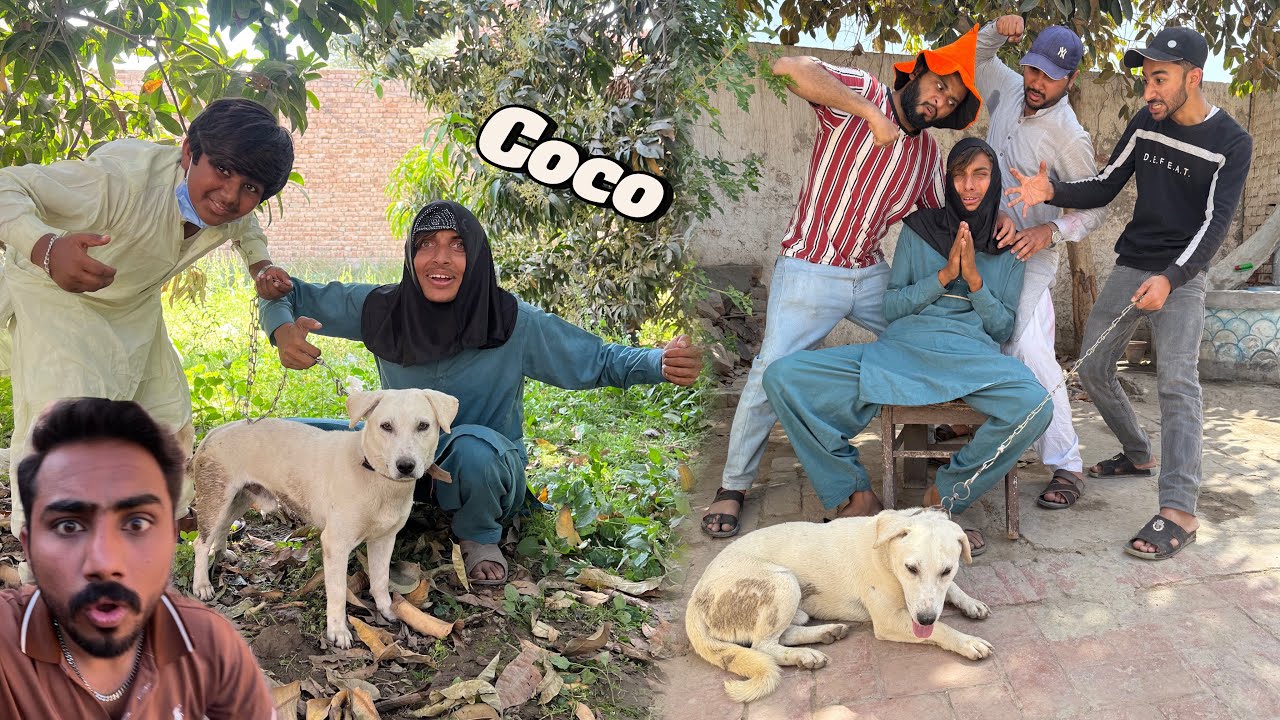 Mamu Walon Ka Coco Dog 🐕 Talha Bhai Chori Karte Hue Pakre Gaye Bahut Pitaai Ki 😱