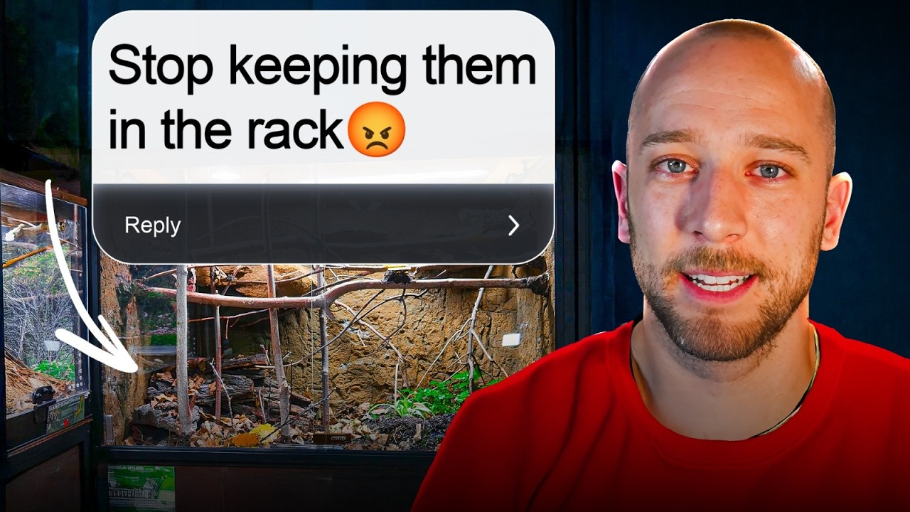 I React to the Most Controversial Reptile Opinions