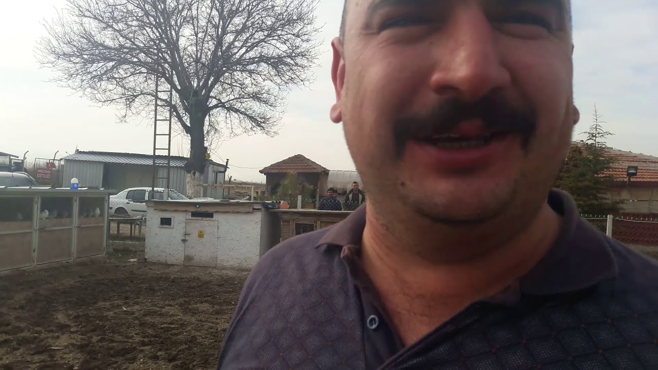 SON ŞAMPİYON ERSİN TÜFENKÇİ - ANKARA OYUN KUŞU - MARDİN TAKLACI - SİVAS - KAYSERİ OYUN KUŞU-PİGEONS