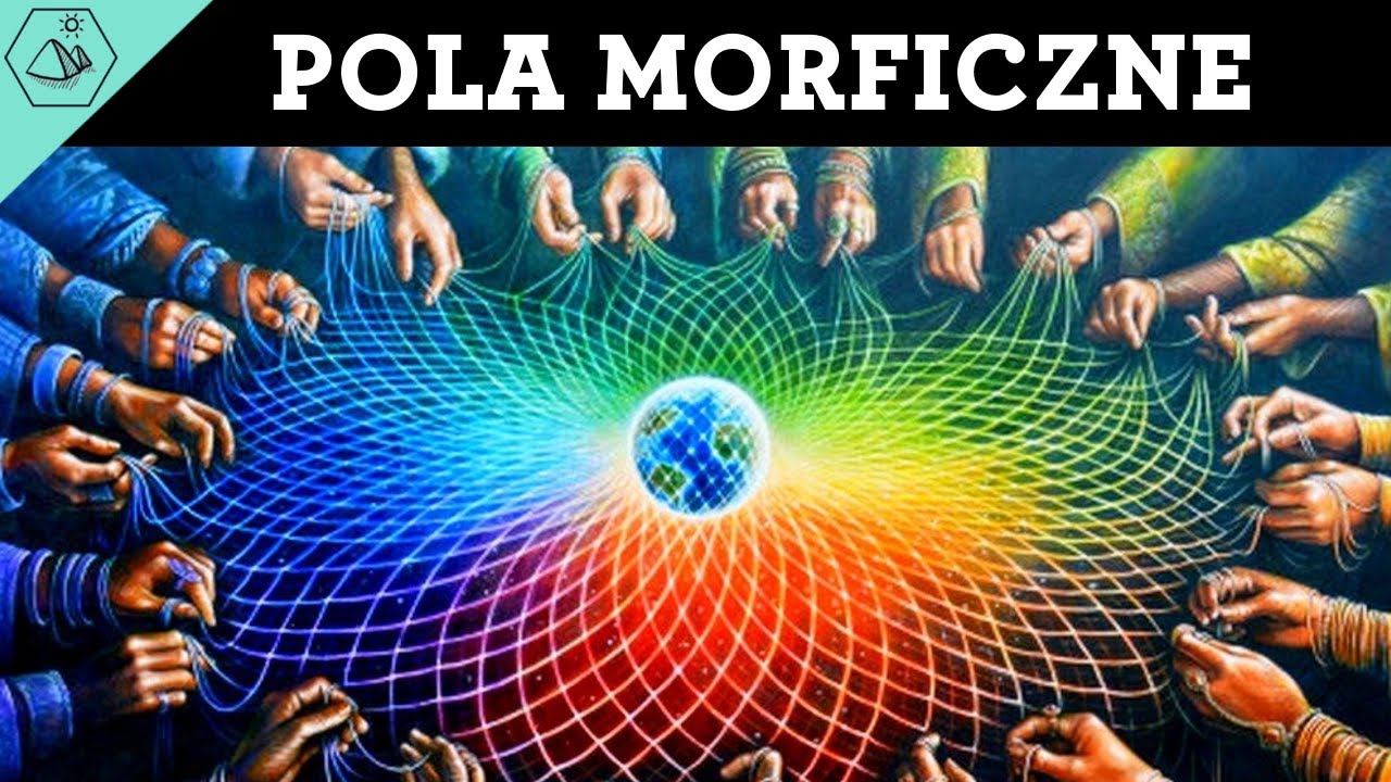 Pola Morficzne - o co w tym chodzi?
