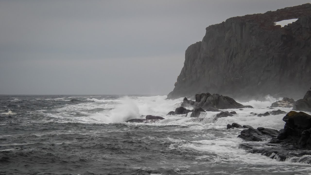 A Quirpon Kayak Adventure