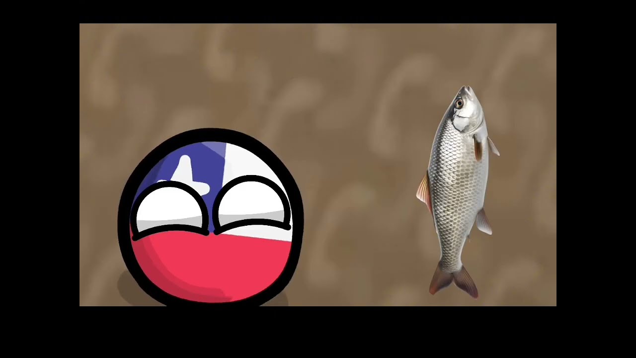 Numa numa cat countryballs esoañol