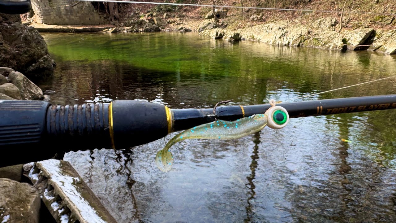 Trout Fishing with Bass Lures in the Smoky Mountains!!