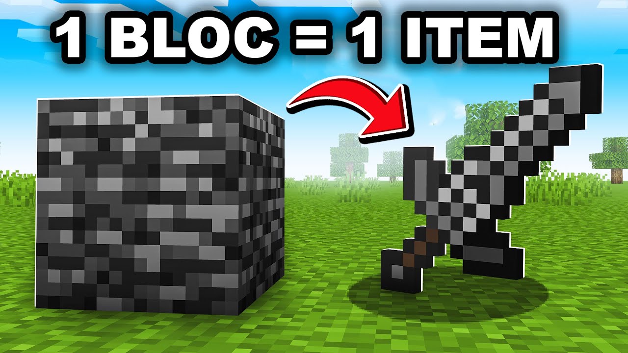 1 BLOC = 1 ITEM sur Minecraft !