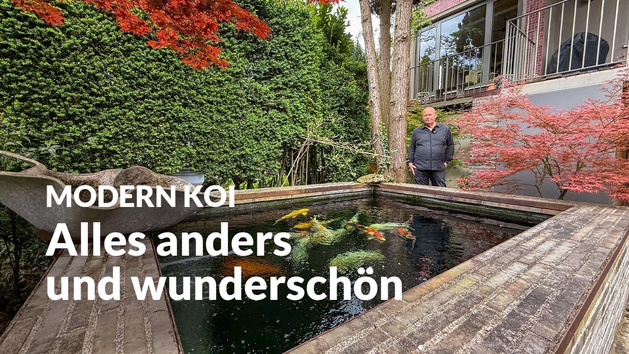 Christians 9500l Wow-Teich | Modern Koi Blog 