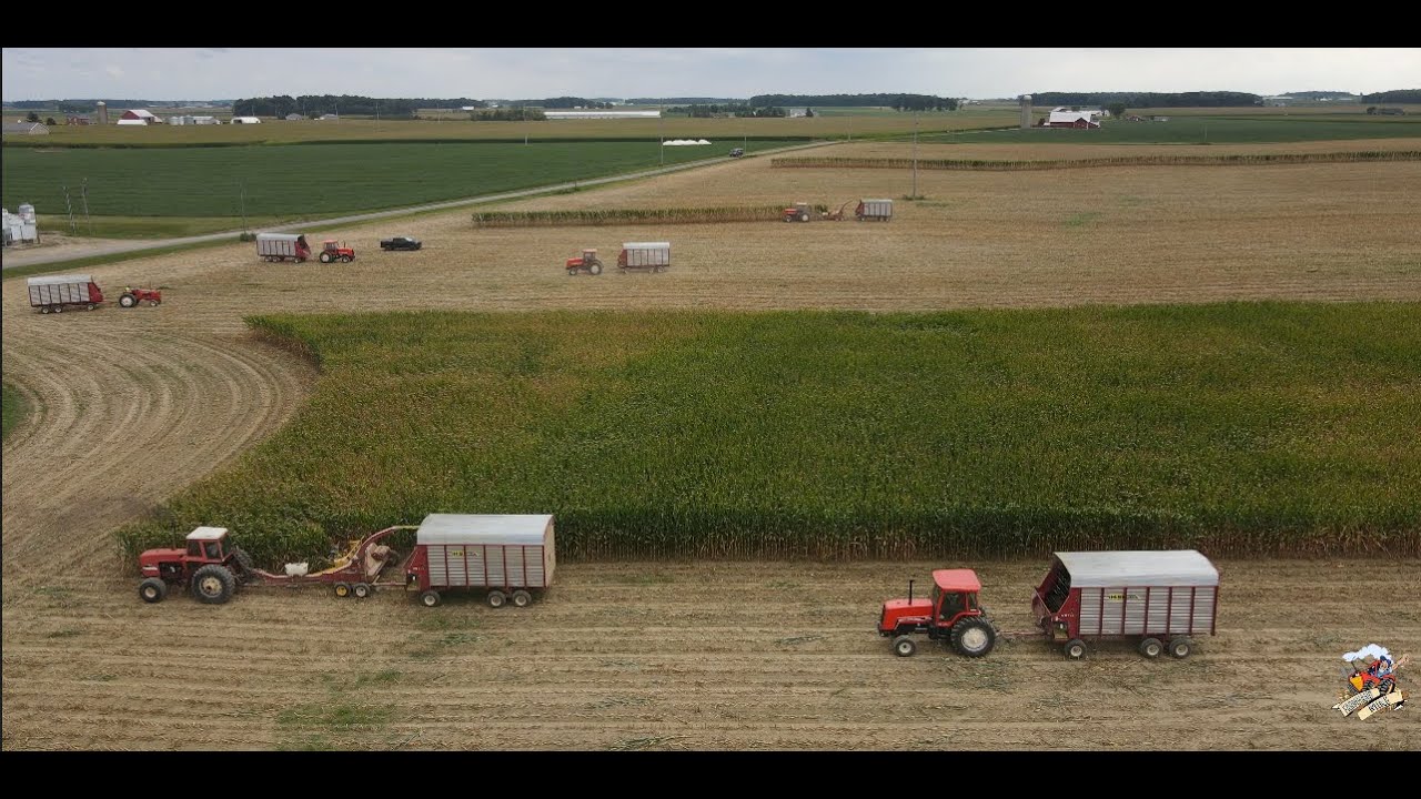 Chopping Corn Silage & Filling Silo with Allis Chalmers Tractors