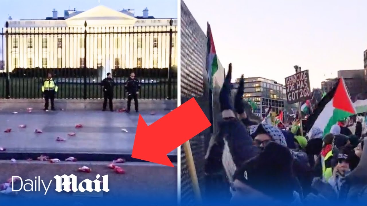 Pro-Palestine protesters descend on the White House